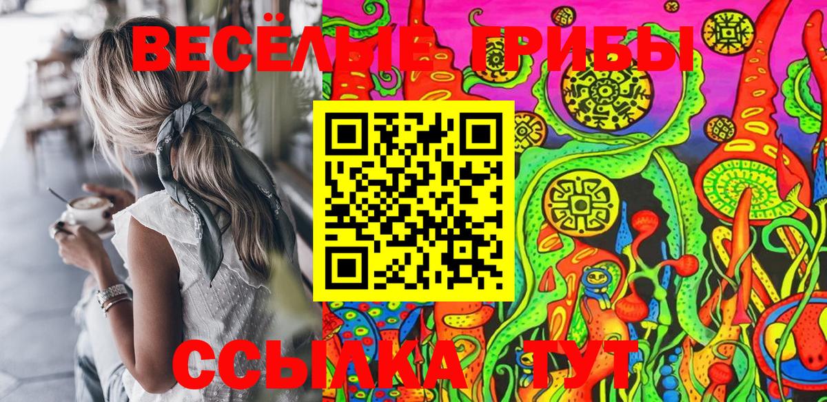 Псилоцибиновые грибы Psilocybine cubensis Владивосток