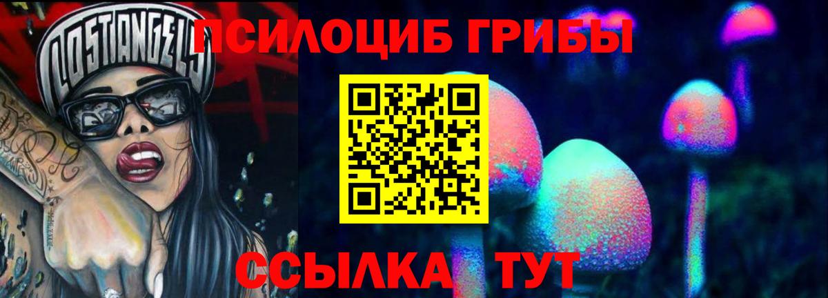 Галлюциногенные грибы Psilocybine cubensis  Вход с VPN  Владивосток  Галлюциногенные грибы мухоморы 